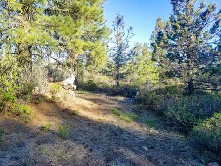 Hunting Land for sale in Klamath County, Oregon