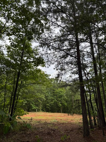 Farm Property for sale in Lee County, Alabama