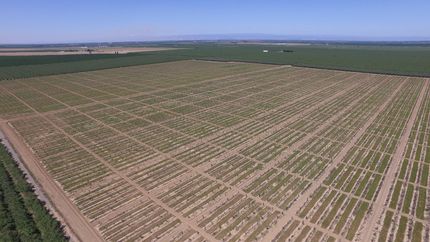 Property for sale in Glenn County, California