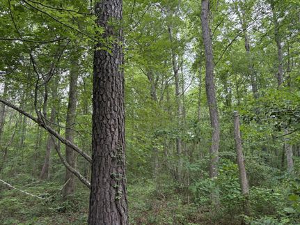 Ranch Property for sale in Dinwiddie County, Virginia