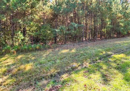 Timberland Property for sale in Harnett County, North Carolina