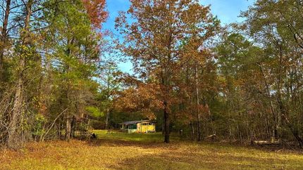 Ranch Property in Wilkinson County, Georgia