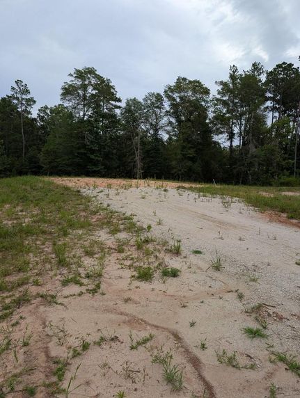 Undeveloped Land for sale in Angelina County, Texas