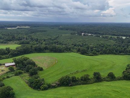 Farm Property for sale in Pike County, Alabama