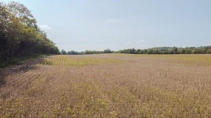 Farm Property for sale in Lincoln County, Tennessee