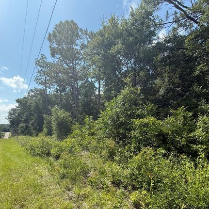 Farm Property for sale in Okaloosa County, Florida