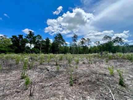 Residential Property for sale in Washington County, Florida