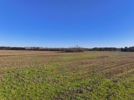 Undeveloped Land for sale in Bullock County, Alabama