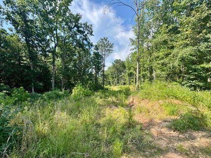 Recreational Property for sale in Union County, Mississippi