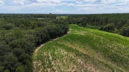 Ranch Property for sale in Houston County, Alabama