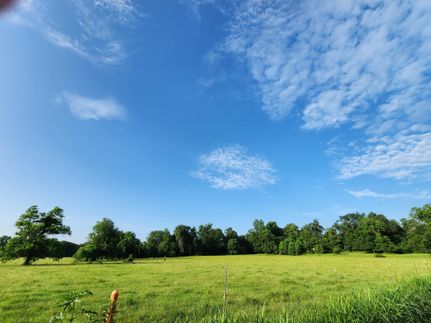 Undeveloped Land for sale in Avoyelles Parish, Louisiana