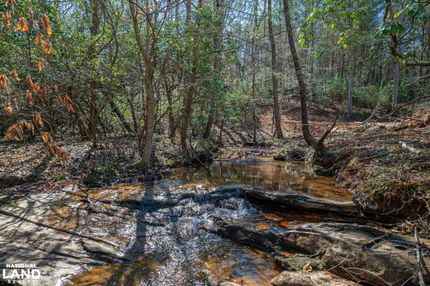 Hunting Land for sale in Iredell County, North Carolina
