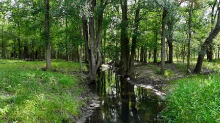 Farm Property for sale in Gonzales County, Texas