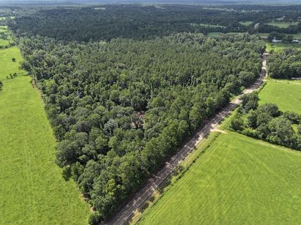 Timberland Property for sale in Tangipahoa Parish, Louisiana