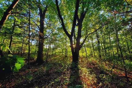 Farm Property for sale in Mille Lacs County, Minnesota