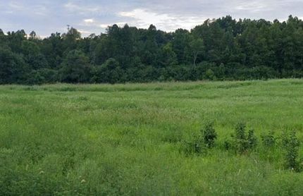 Undeveloped Land for sale in Prince Edward County, Virginia