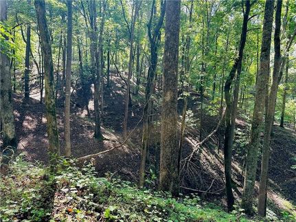 Ranch Property for sale in Lumpkin County, Georgia