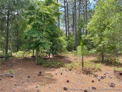 Residential Property for sale in Moore County, North Carolina
