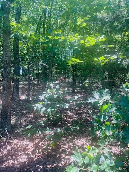 Ranch Property for sale in Gasconade County, Missouri