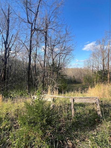 Farm Property for sale in Christian County, Missouri