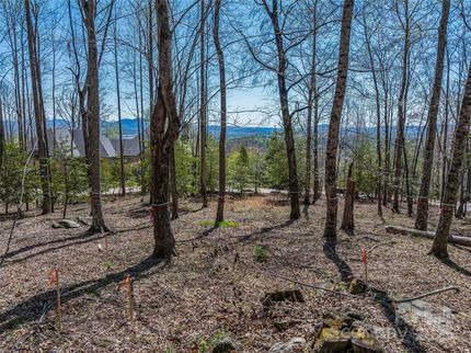 Recreational Property for sale in Buncombe County, North Carolina