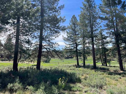 Ranch Property for sale in Nevada County, California