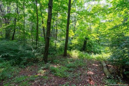 Ranch Property for sale in Litchfield County, Connecticut