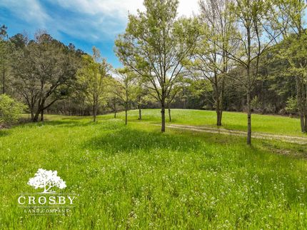Farm Property in Colleton County, South Carolina