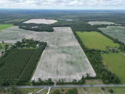 Farm Property for sale in Lafayette County, Florida