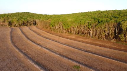 Recreational Property for sale in Lawrence County, Alabama