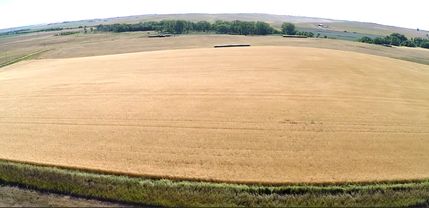 Farm Property for sale in Tripp County, South Dakota
