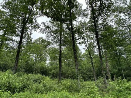 Farm Property for sale in Nacogdoches County, Texas