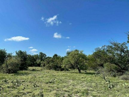 Ranch Property for sale in Schleicher County, Texas