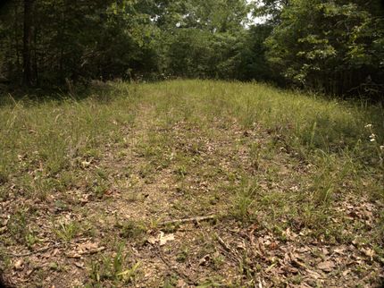 Farm Property for sale in Clay County, Tennessee