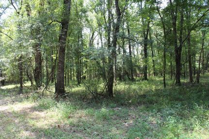 Recreational Property for sale in Madison County, Mississippi