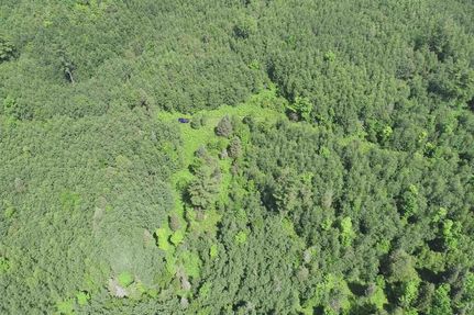 Farm Property for sale in Iron County, Michigan