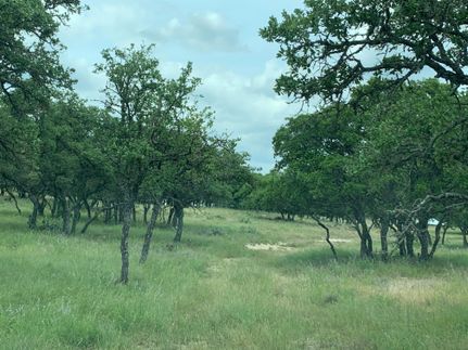Residential Property for sale in Gillespie County, Texas