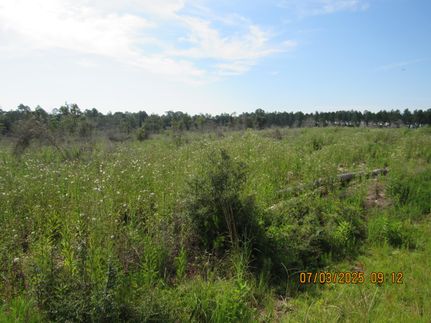Farm Property for sale in Baldwin County, Alabama
