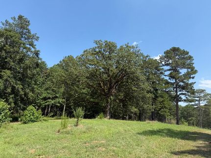 Undeveloped Land for sale in Monroe County, Georgia