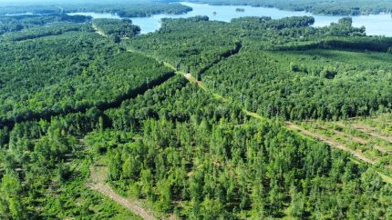Farm Property for sale in Lee County, Alabama