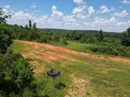 Ranch Property for sale in Dallas County, Alabama