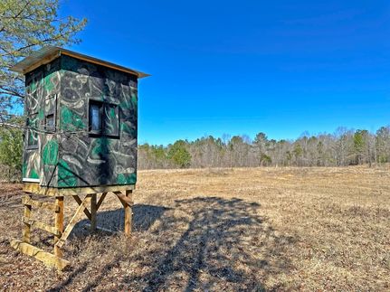 Farm Property in Simpson County, Mississippi