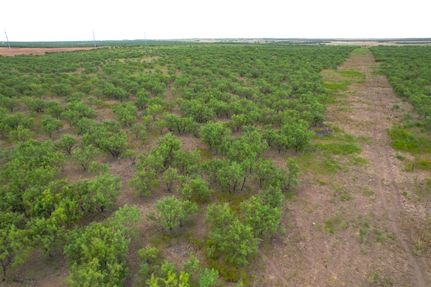 Ranch Property for sale in Jones County, Texas