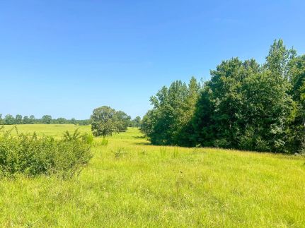 Ranch Property for sale in Hempstead County, Arkansas