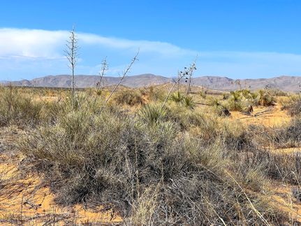 Undeveloped Land for sale in El Paso County, Texas