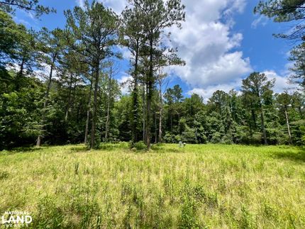 Recreational Property for sale in Monroe County, Alabama