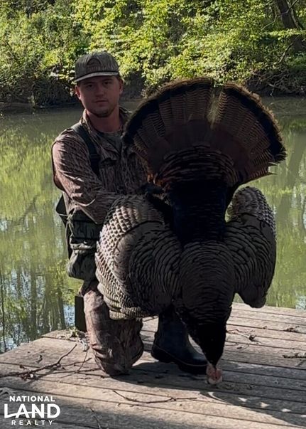 Waterfront Property in Madison County, Alabama