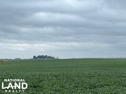Farm Property in Renville County, Minnesota