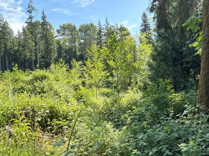 Ranch Property for sale in Snohomish County, Washington