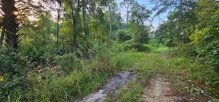 Ranch Property for sale in Putnam County, Florida